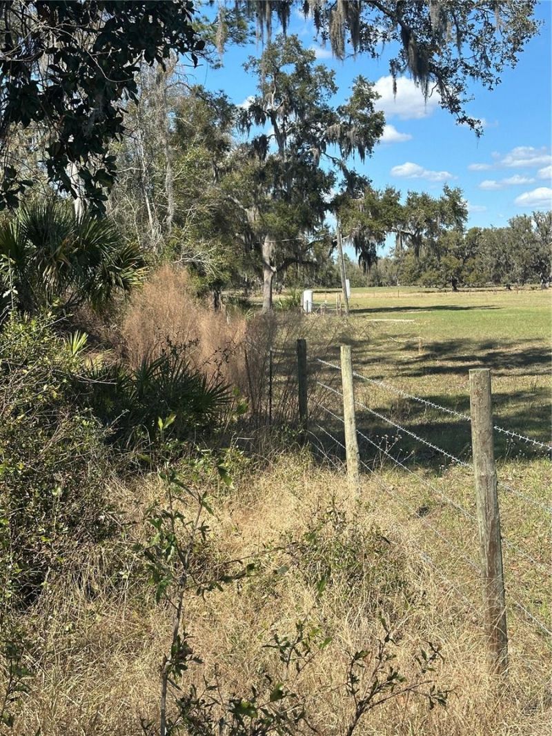 Ne 688th Avenue, Cross City, FL 32628 Photo