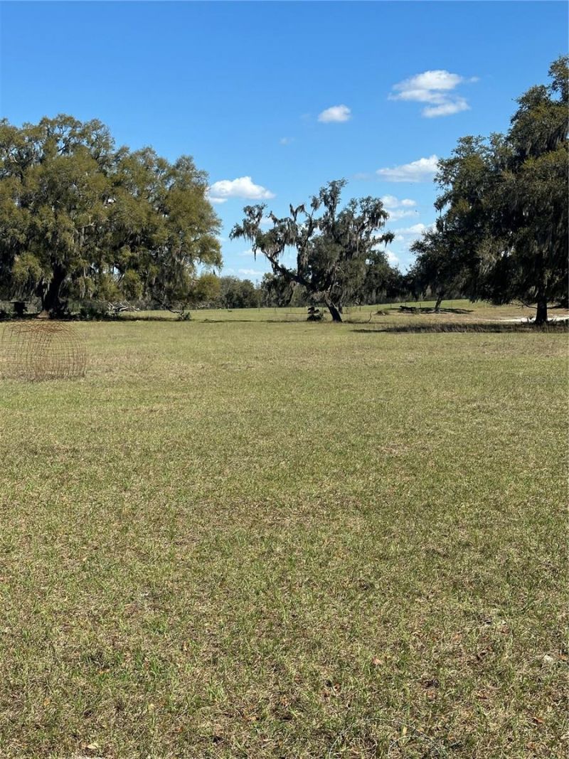 Ne 688th Avenue, Cross City, FL 32628 Photo