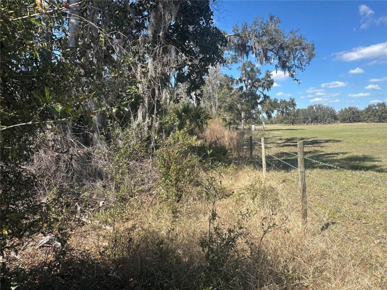 Ne 688th Avenue, Cross City, FL 32628 Photo