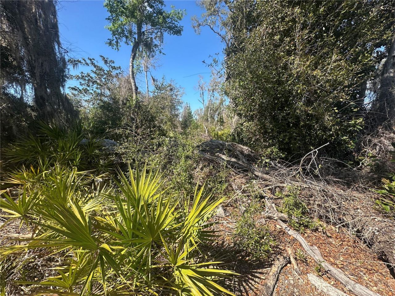 Ne 688th Avenue, Cross City, FL 32628 Photo