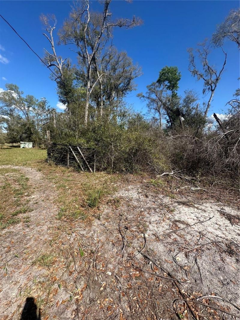 Ne 688th Avenue, Cross City, FL 32628 Photo