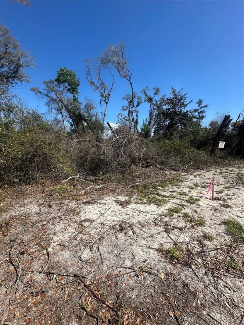 Ne 688th Avenue, Cross City, FL 32628 Photo