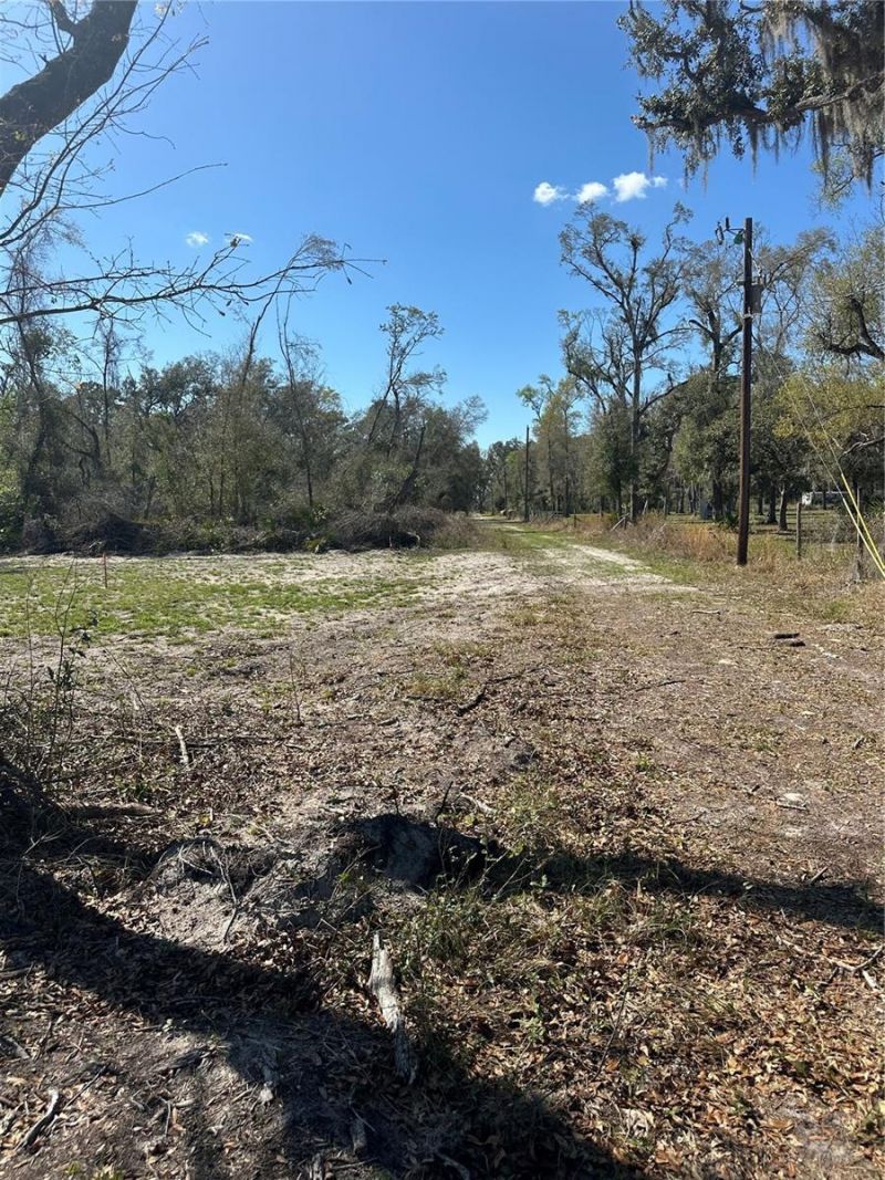 Ne 688th Avenue, Cross City, FL 32628 Photo