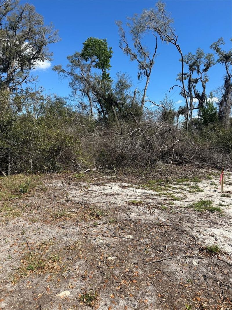 Ne 688th Avenue, Cross City, FL 32628 Photo