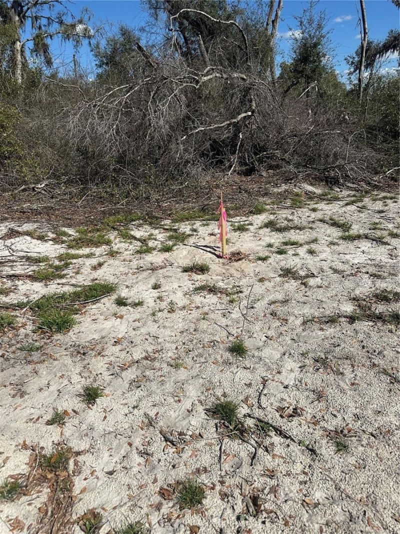 Ne 688th Avenue, Cross City, FL 32628 Photo