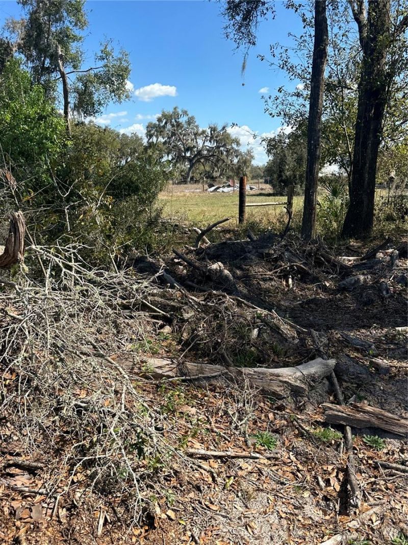 Ne 688th Avenue, Cross City, FL 32628 Photo