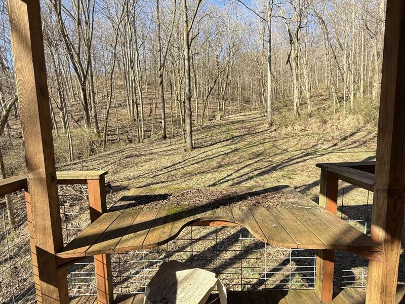 4695 Rabbit Hash Road, Union, KY 41091 Photo 13