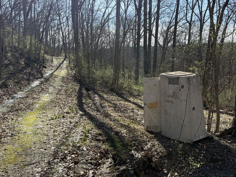 4695 Rabbit Hash Road, Union, KY 41091 Photo 37