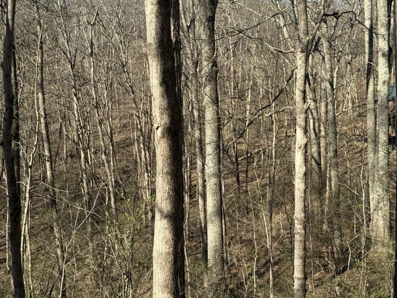 4695 Rabbit Hash Road, Union, KY 41091 Photo 38