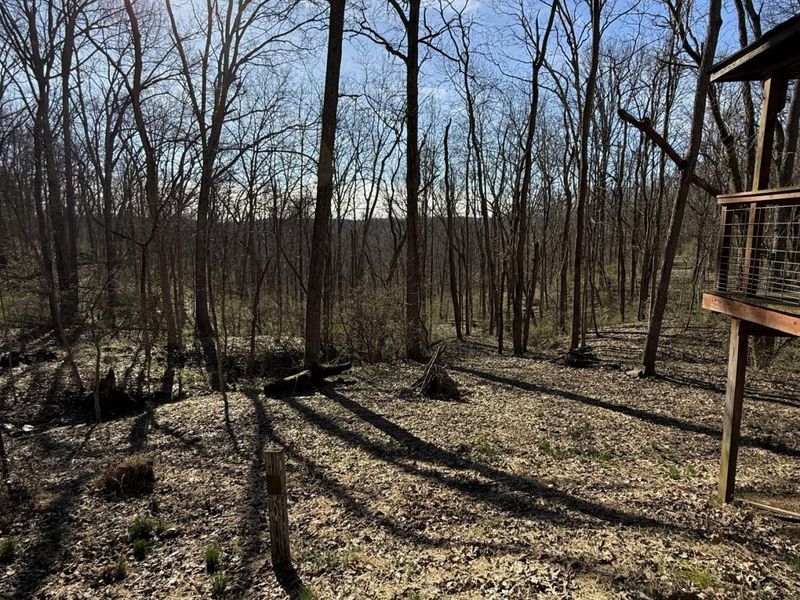 4695 Rabbit Hash Road, Union, KY 41091 Photo 39