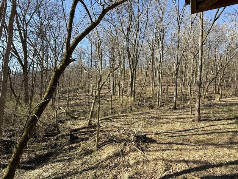 4695 Rabbit Hash Road, Union, KY 41091 Photo 40