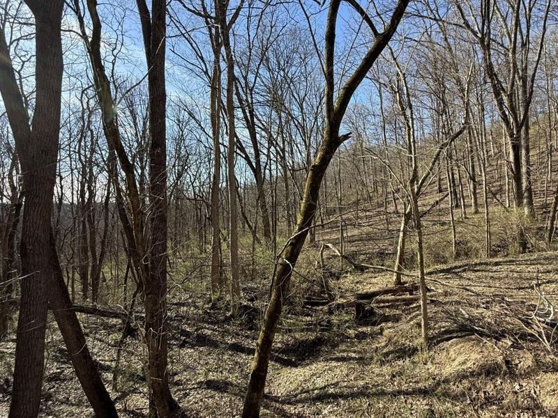 4695 Rabbit Hash Road, Union, KY 41091 Photo 41