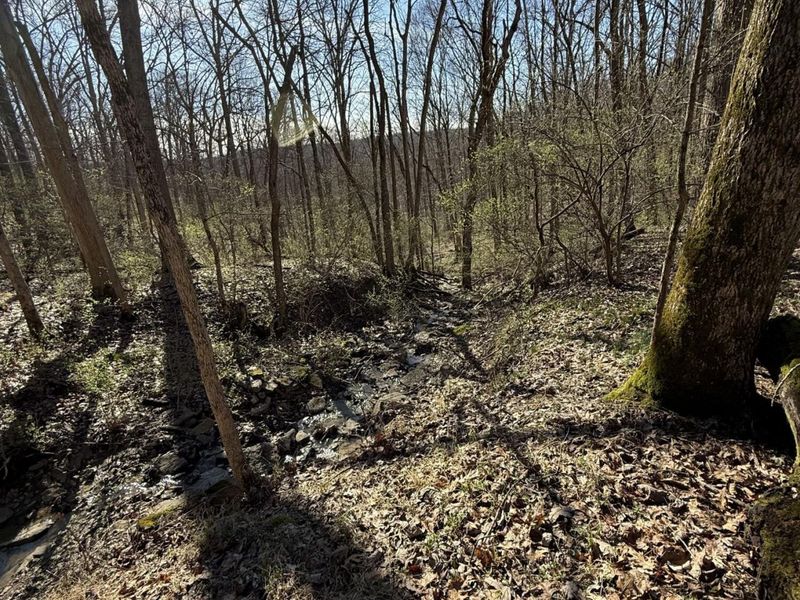 4695 Rabbit Hash Road, Union, KY 41091 Photo 45