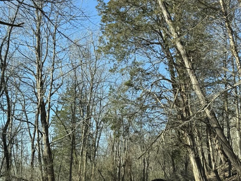 4695 Rabbit Hash Road, Union, KY 41091 Photo 5