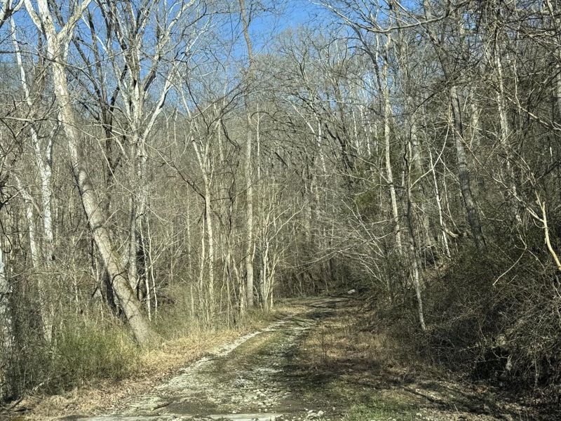 4695 Rabbit Hash Road, Union, KY 41091 Photo 6