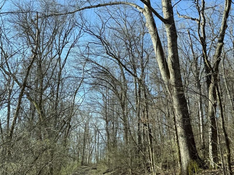 4695 Rabbit Hash Road, Union, KY 41091 Photo 7