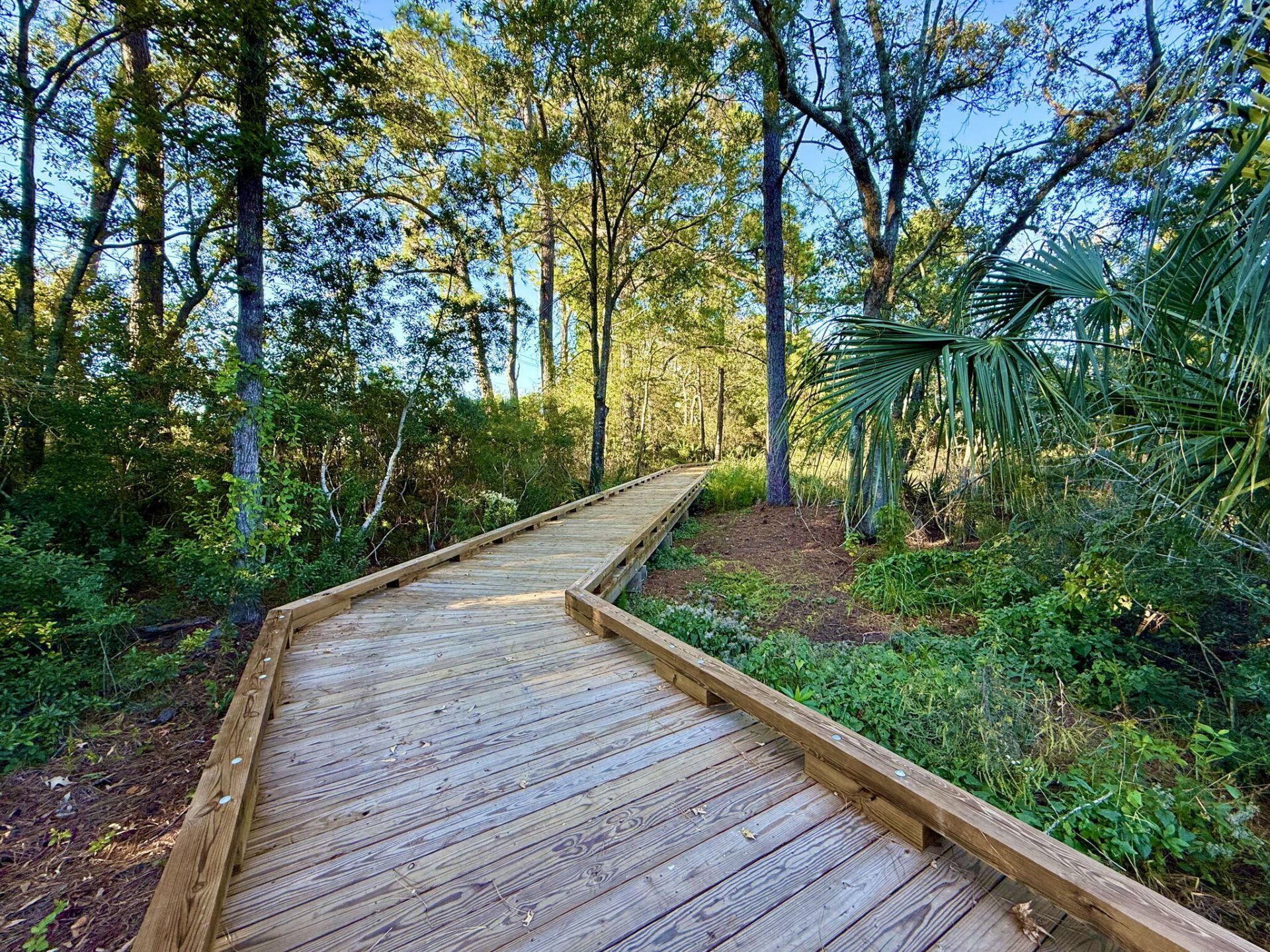 132 Low Tide Court Photo 54