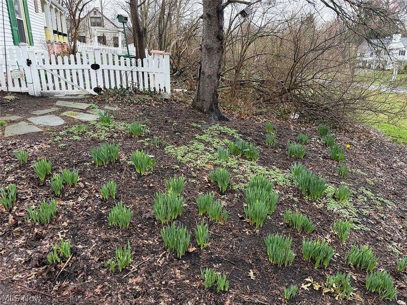 3415 Blackburn Road NW, Canton, OH 44718 Photo 32