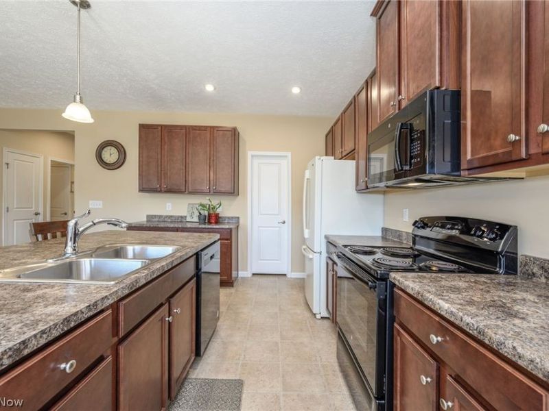 3564 Shady Timber Drive, Twinsburg, OH 44087 Photo 12