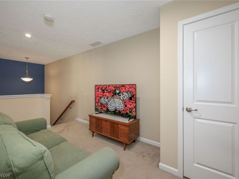 3564 Shady Timber Drive, Twinsburg, OH 44087 Photo 20