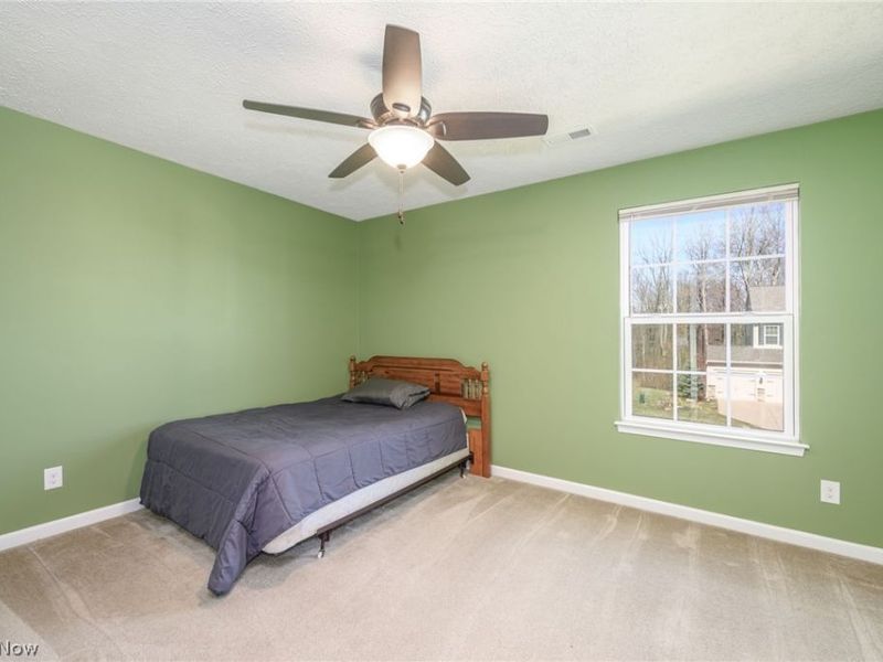 3564 Shady Timber Drive, Twinsburg, OH 44087 Photo 21