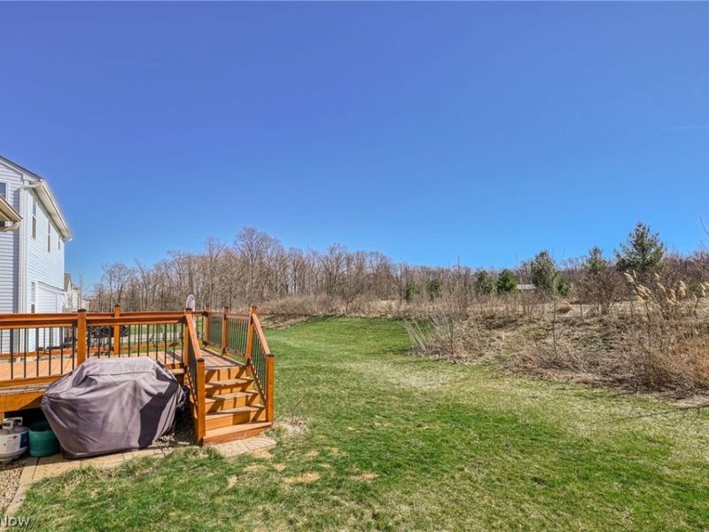 3564 Shady Timber Drive, Twinsburg, OH 44087 Photo 32