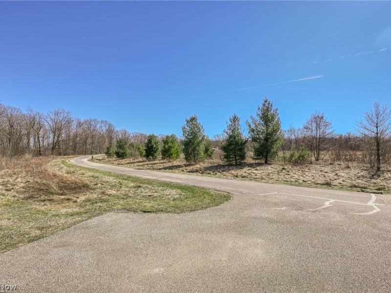 3564 Shady Timber Drive, Twinsburg, OH 44087 Photo 32