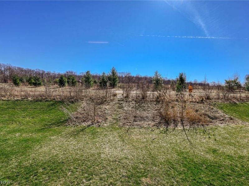 3564 Shady Timber Drive, Twinsburg, OH 44087 Photo 33