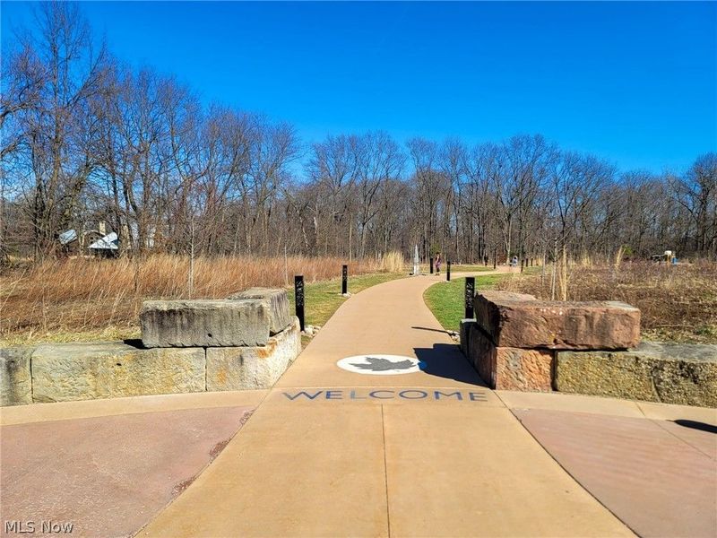 3564 Shady Timber Drive, Twinsburg, OH 44087 Photo 39