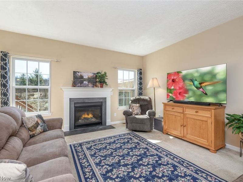 3564 Shady Timber Drive, Twinsburg, OH 44087 Photo 7