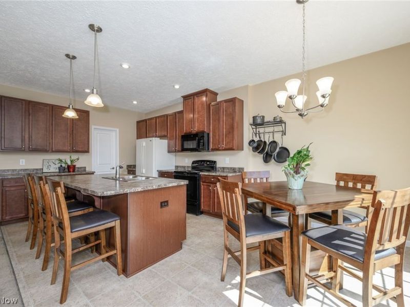 3564 Shady Timber Drive, Twinsburg, OH 44087 Photo 9