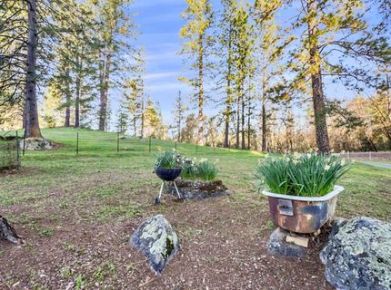 19634 Highway 26, West Point, CA 95255 Photo