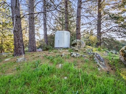 19634 Highway 26, West Point, CA 95255 Photo
