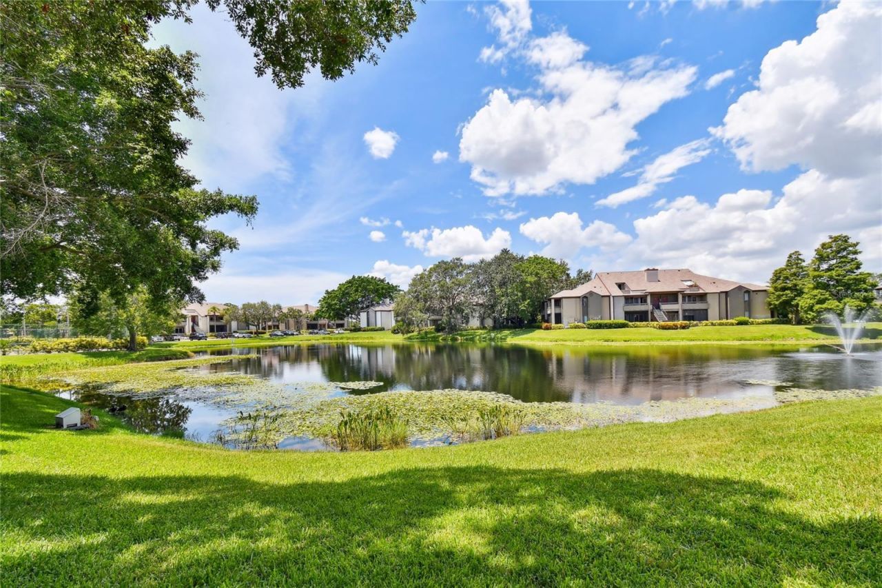 10263 Gandy Boulevard N, Unit 616, Saint Petersburg, FL 33702 Photo