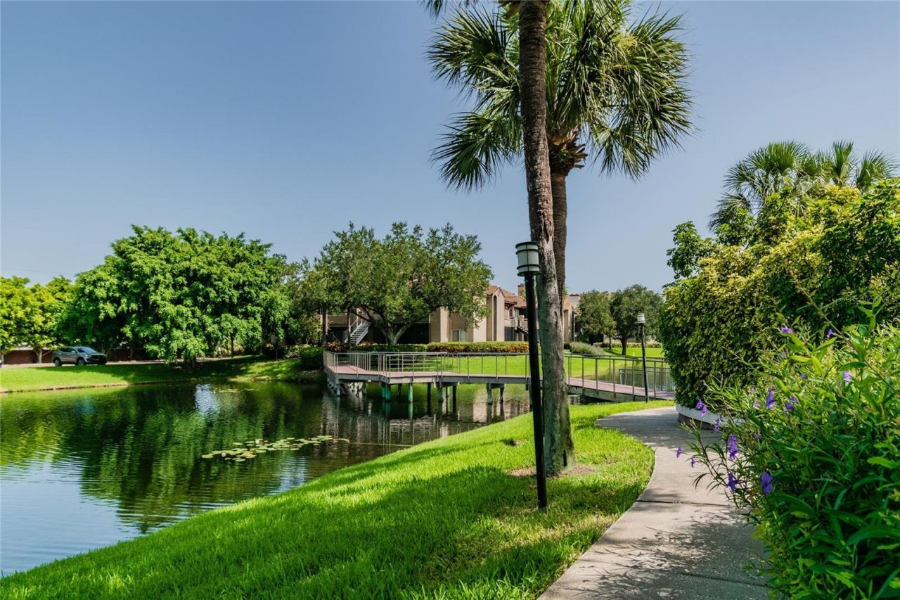 10263 Gandy Boulevard N, Unit 616, Saint Petersburg, FL 33702 Photo