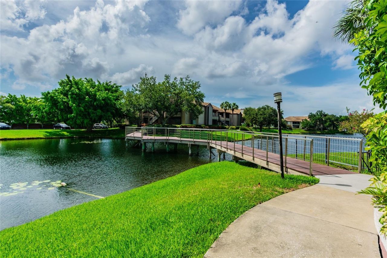 10263 Gandy Boulevard N, Unit 616, Saint Petersburg, FL 33702 Photo