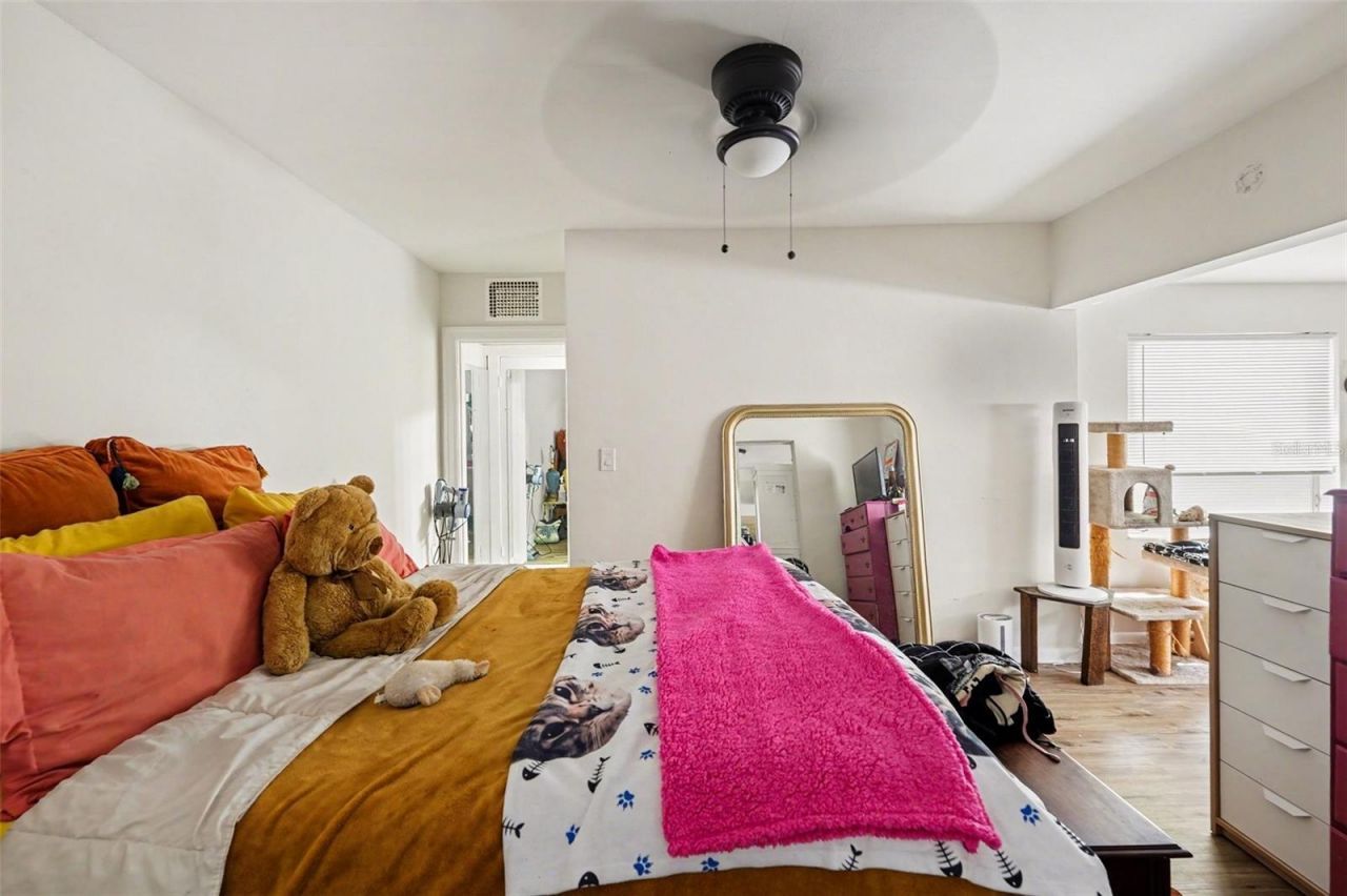 1228 15th Street N, Saint Petersburg, FL 33705 Photo