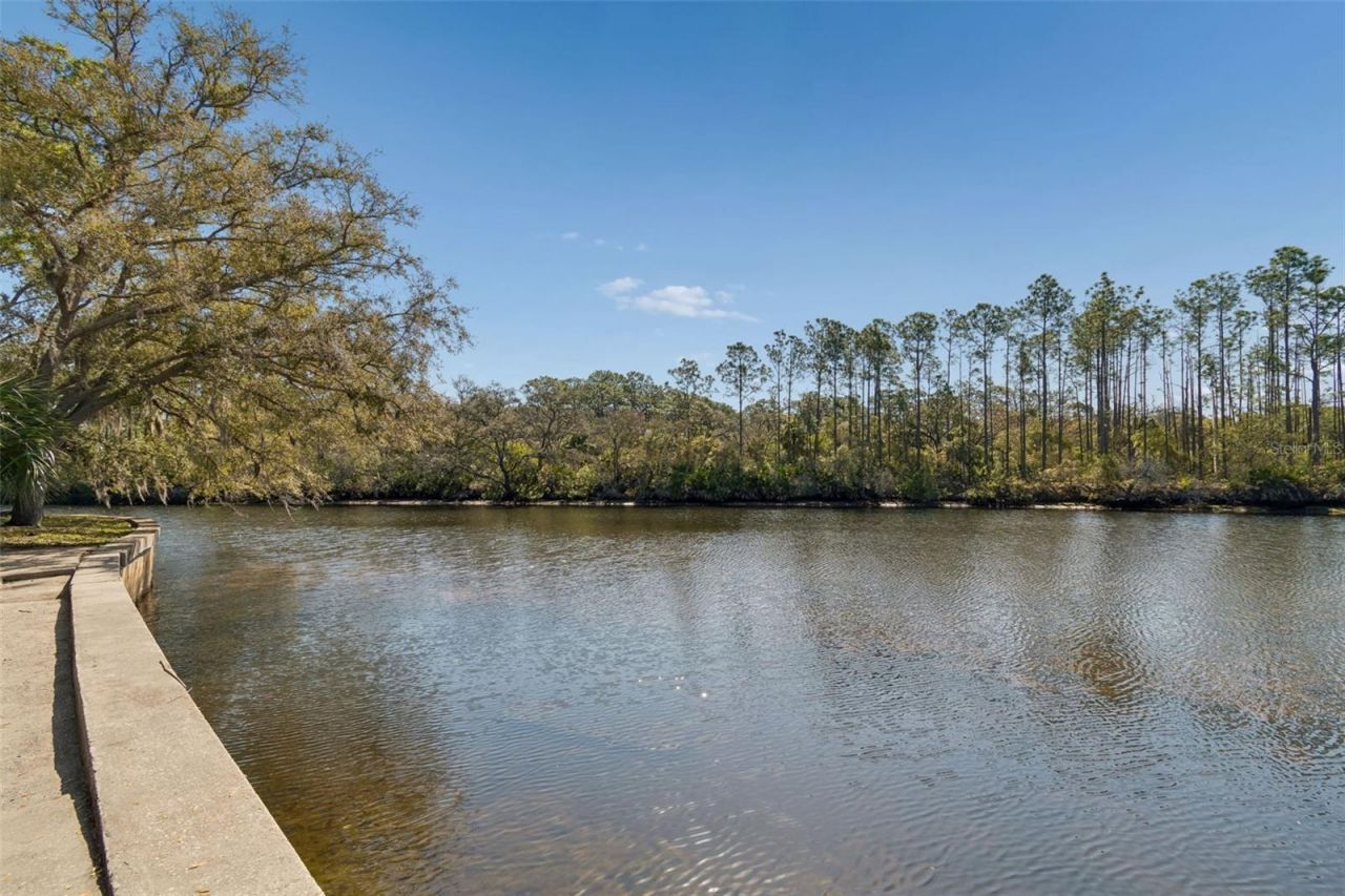 1238 Flotilla Drive, Holiday, FL 34690 Photo