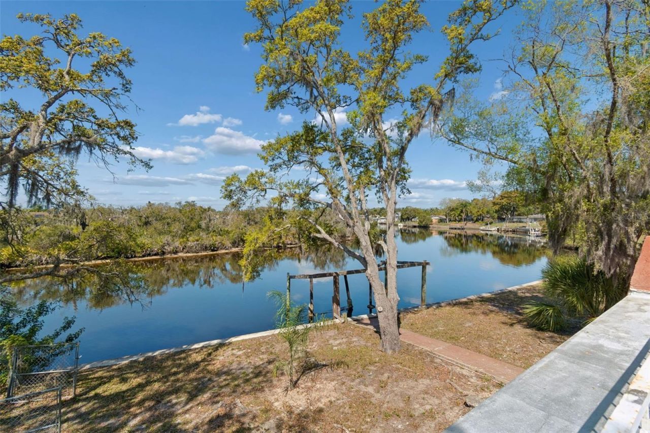 1238 Flotilla Drive, Holiday, FL 34690 Photo