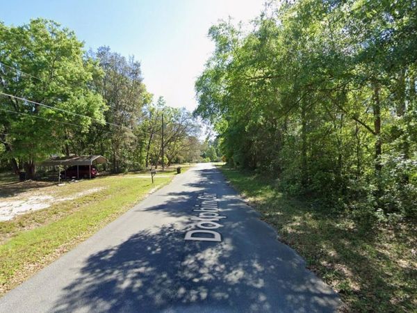 212 DOLPHIN CIRCLE , MIDDLEBURG, FL 32068