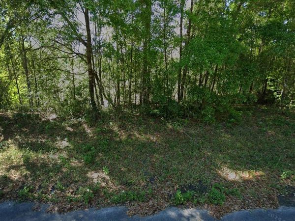 212 DOLPHIN CIRCLE , MIDDLEBURG, FL 32068