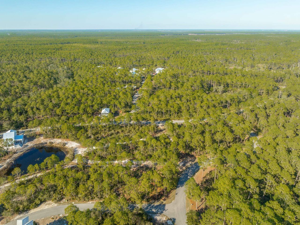 173 Lightining Bug Lane , Saint Teresa, FL 32358 Photo