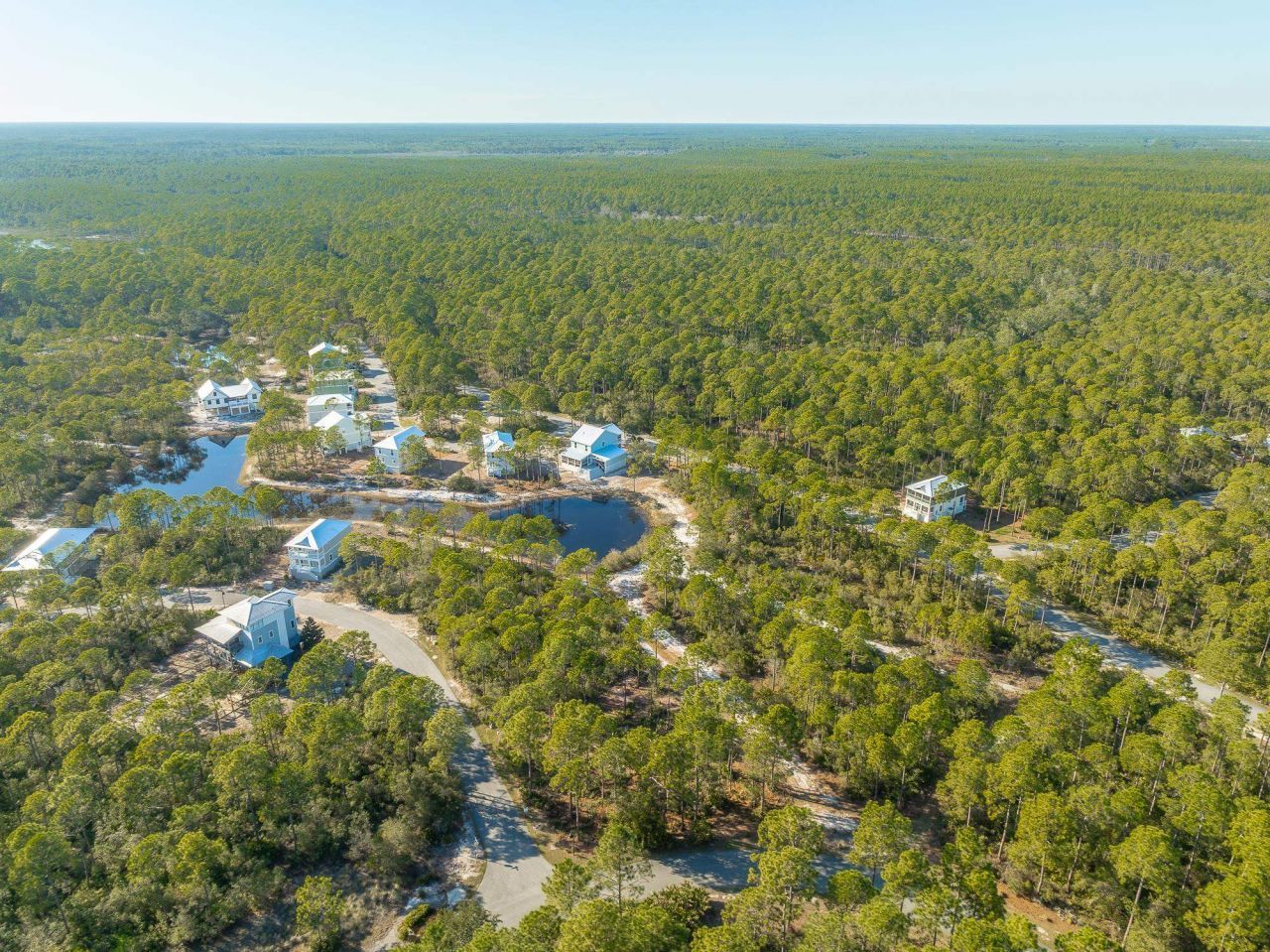 173 Lightining Bug Lane , Saint Teresa, FL 32358 Photo