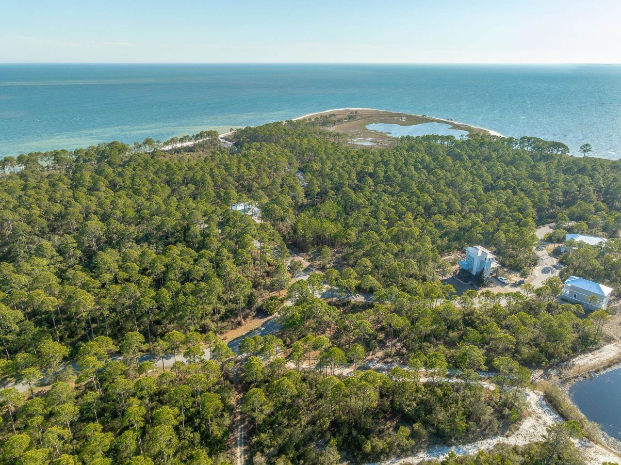 173 Lightining Bug Lane , Saint Teresa, FL 32358 Photo