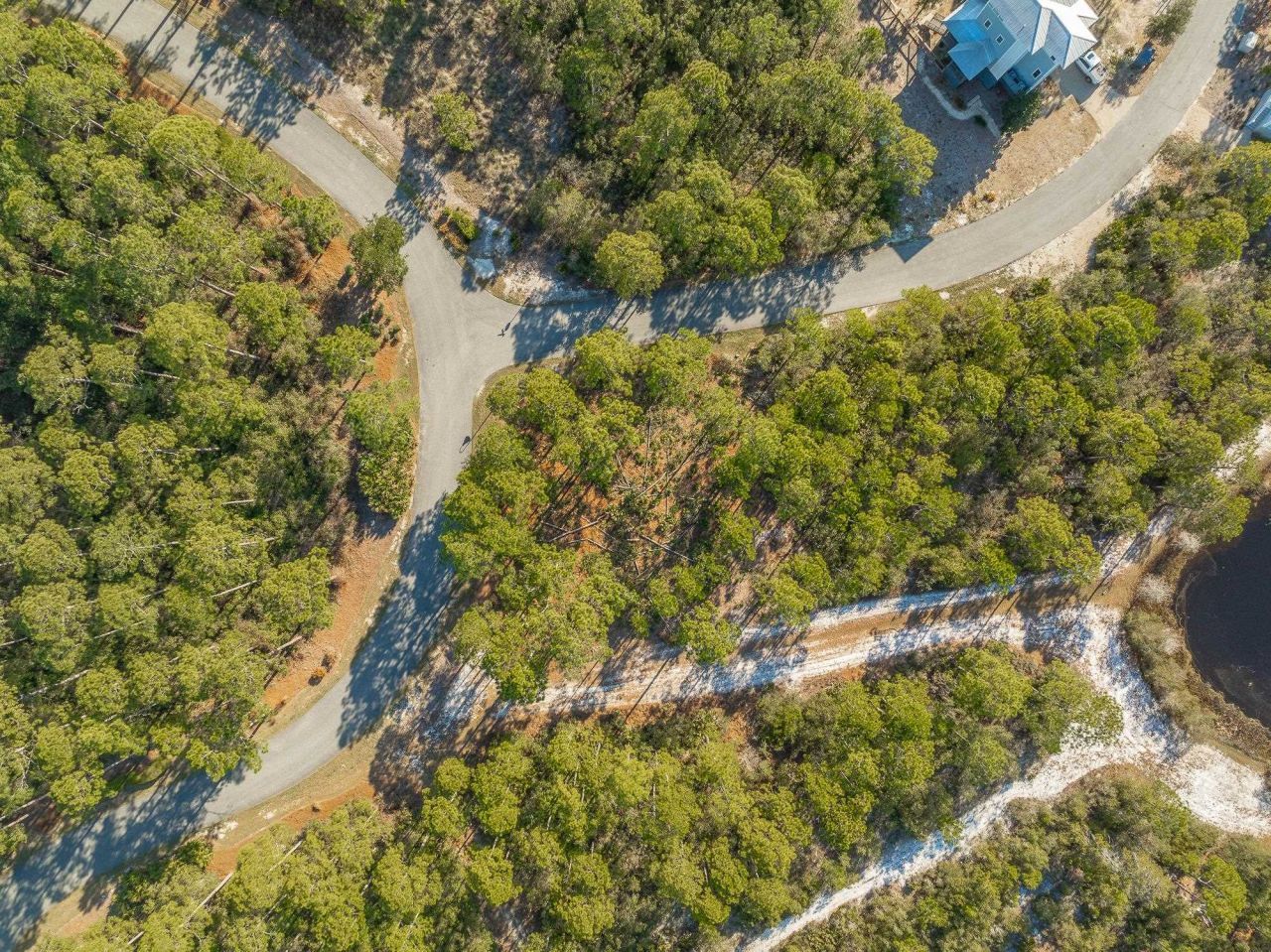 173 Lightining Bug Lane , Saint Teresa, FL 32358 Photo