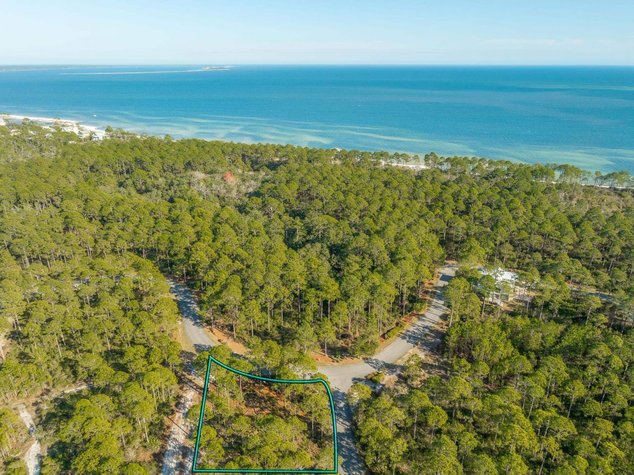 173 Lightining Bug Lane , Saint Teresa, FL 32358 Photo