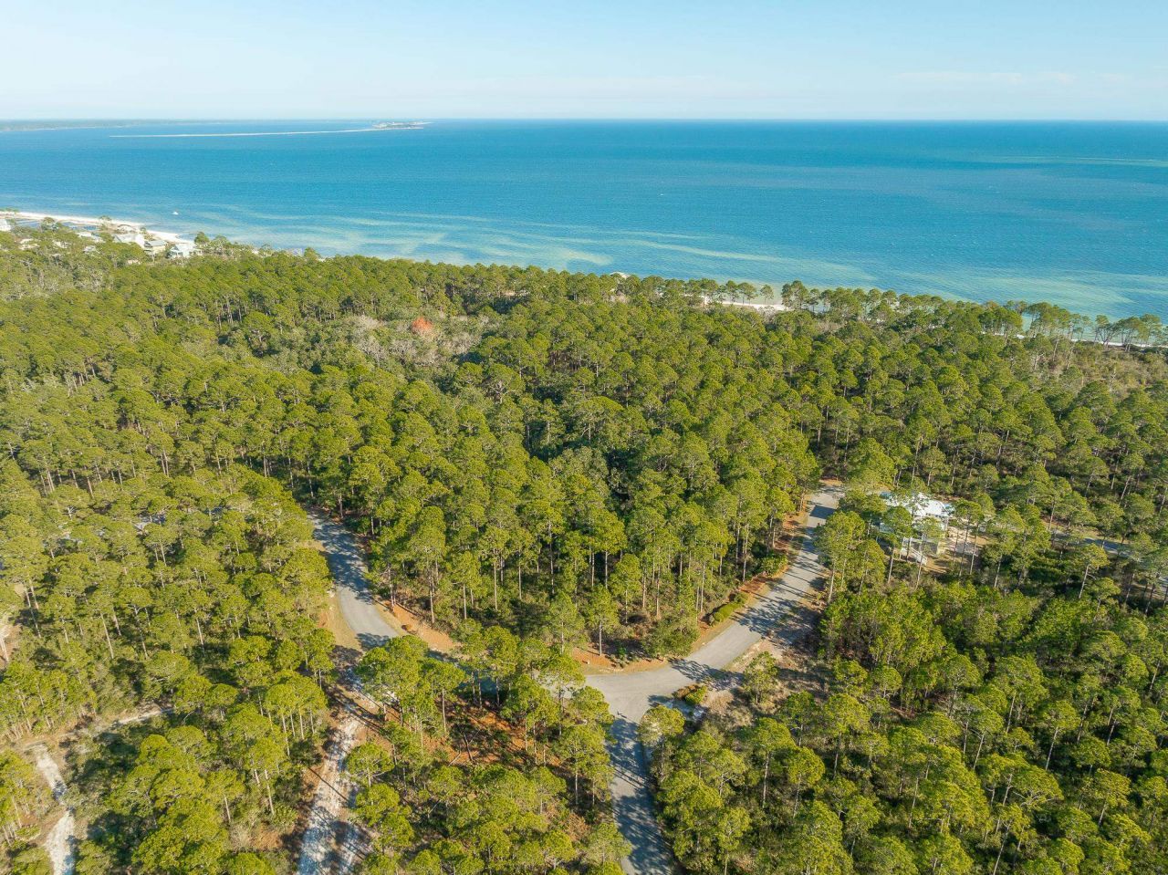 173 Lightining Bug Lane , Saint Teresa, FL 32358 Photo