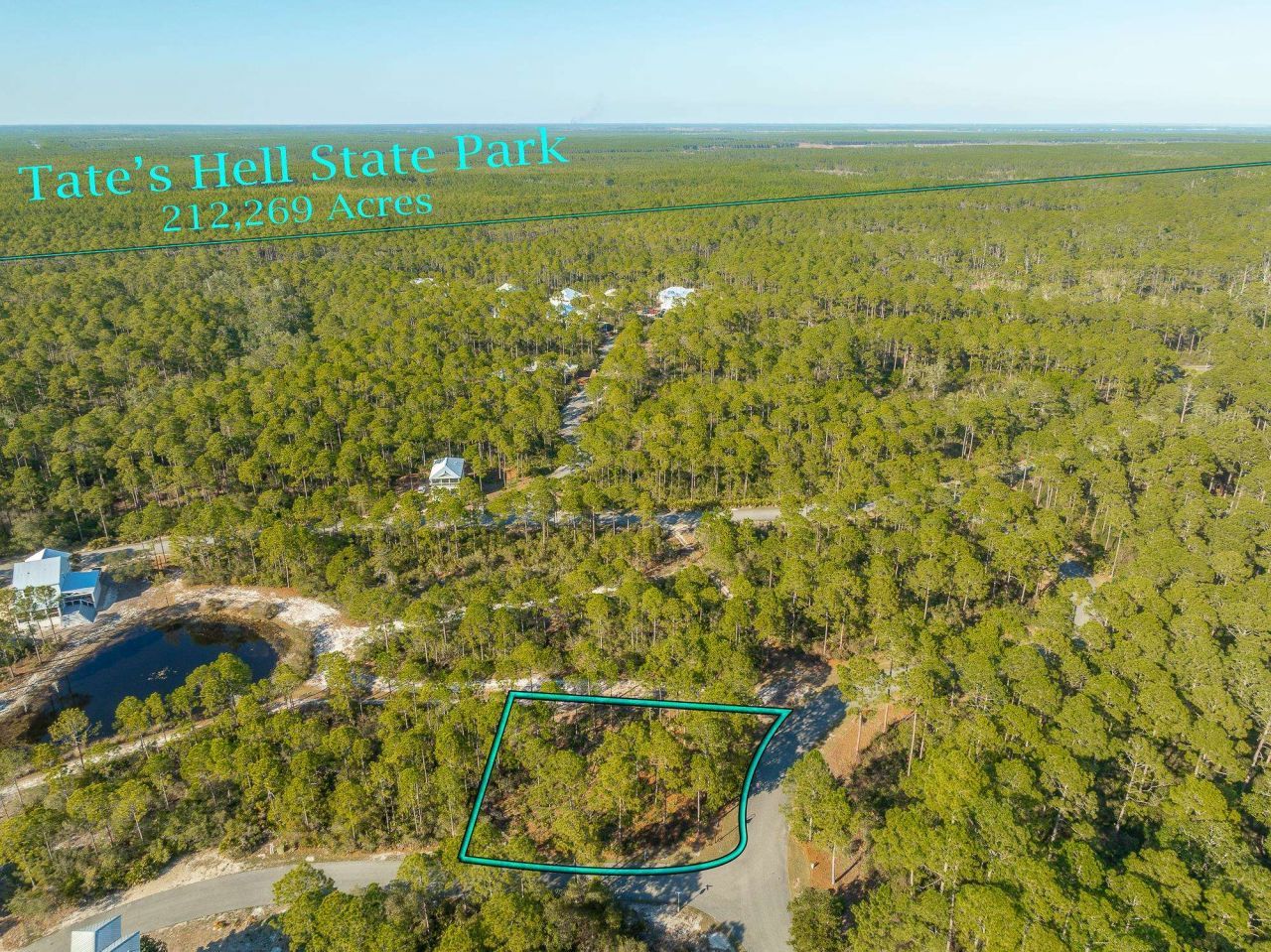 173 Lightining Bug Lane , Saint Teresa, FL 32358 Photo