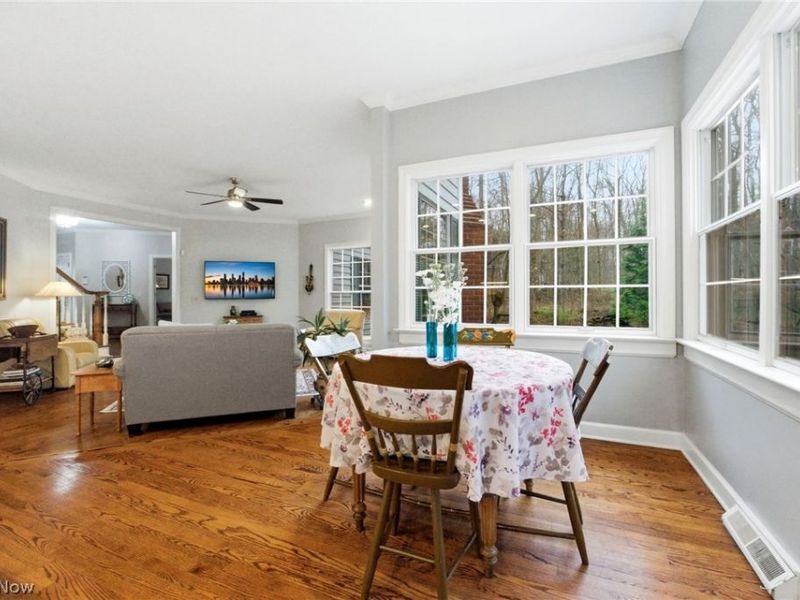 113 Champion Lane, Chagrin Falls, OH 44022 Photo 12