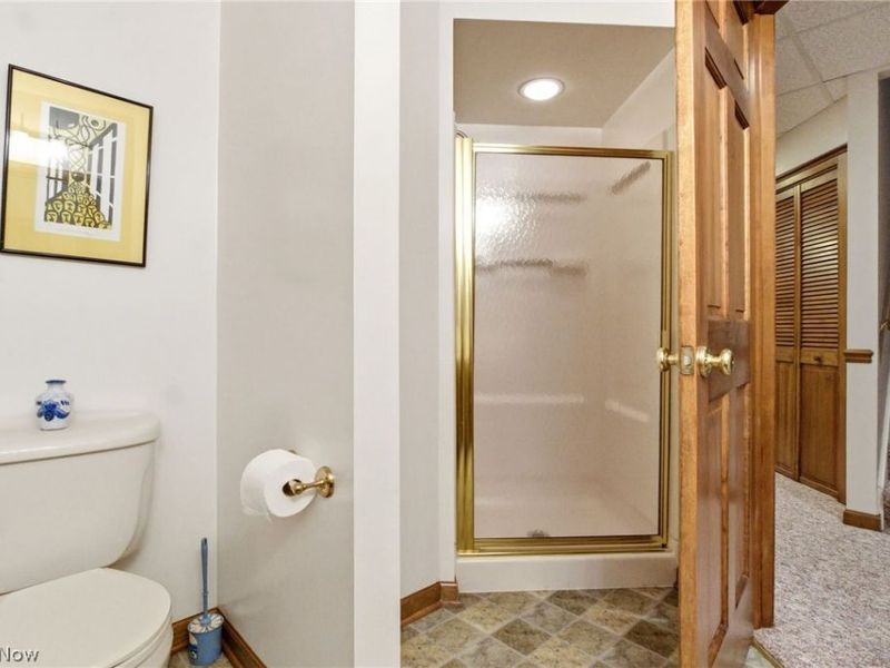 113 Champion Lane, Chagrin Falls, OH 44022 Photo 41